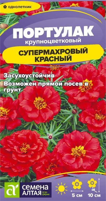 Цветы Портулак Супермахровый Красный