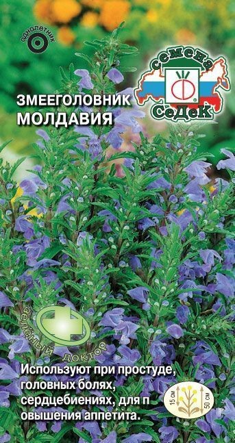 Змееголовник Молдавия (/Дракоцефалум/) Седек