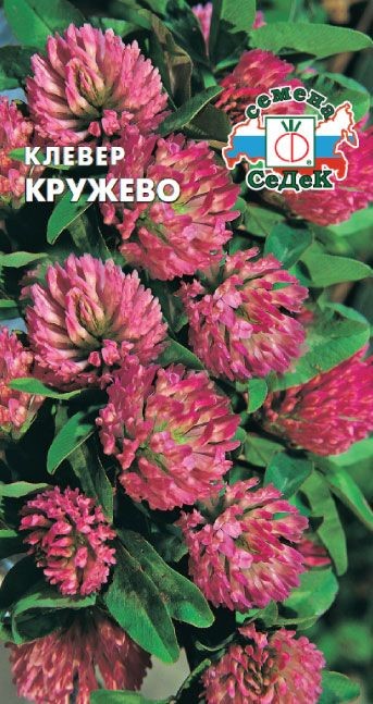 Клевер Кружево 1г Седек