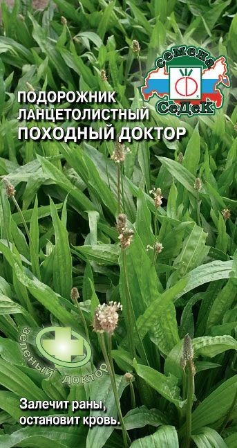 Подорожник большой Походный Доктор 0,2г Седек