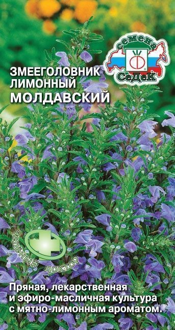 Пряность Змееголовник лимонный Молдавский Седек