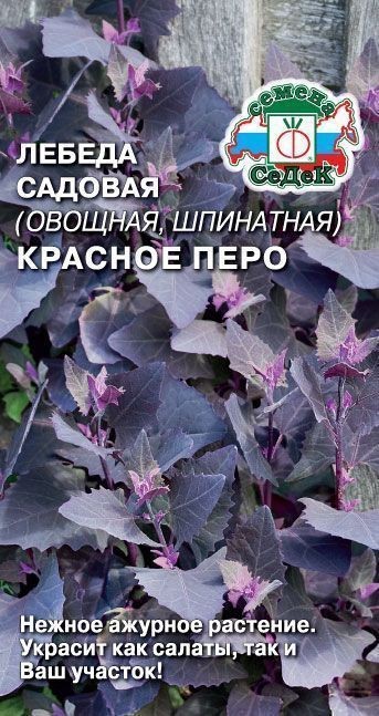 Пряность Лебеда Красное перо (шпинатная) Седек