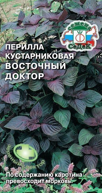 Пряность Перилла Восточный Доктор (куст.) Седек