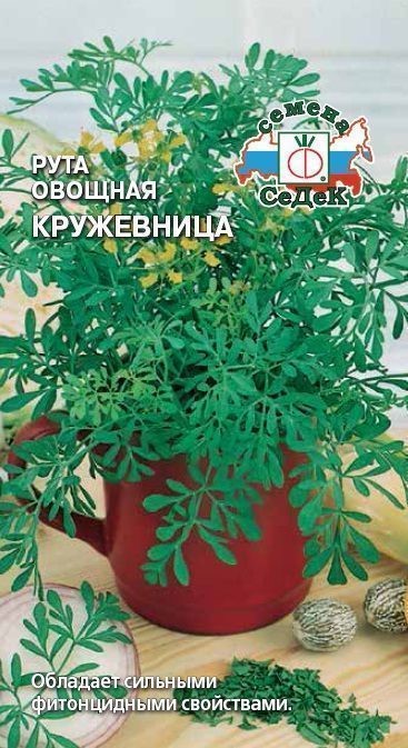 Рута овощная Кружевница 0,1г Седек