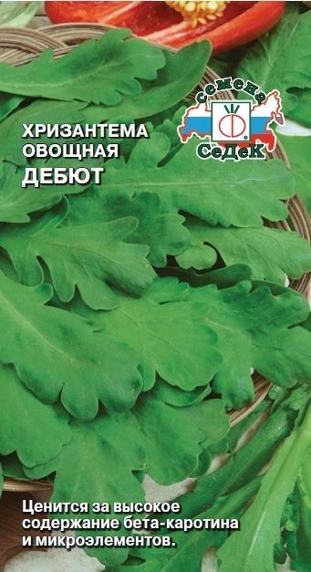 Хризантема Дебют овощная 0,5гр Седек