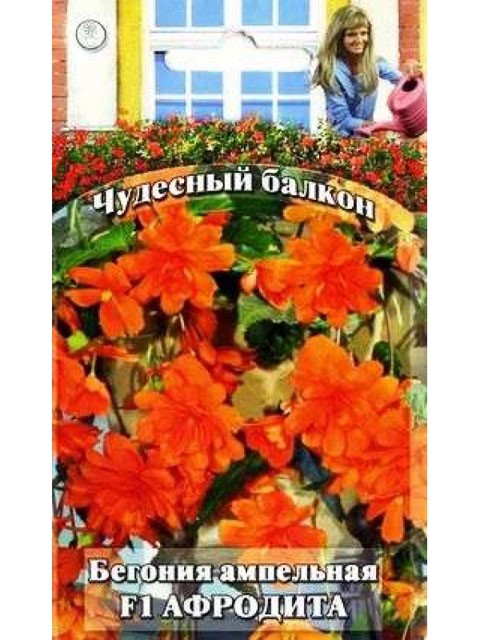 Бегония Афродита ампельная F1 гранул. 5шт ГШ