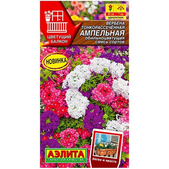 Вербена Ампельная обильноцветущая, смесь сортов 30шт Аэлита