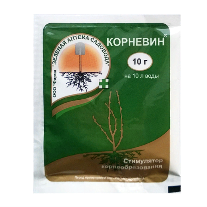Корней 10г 1/10/200 (З/А)