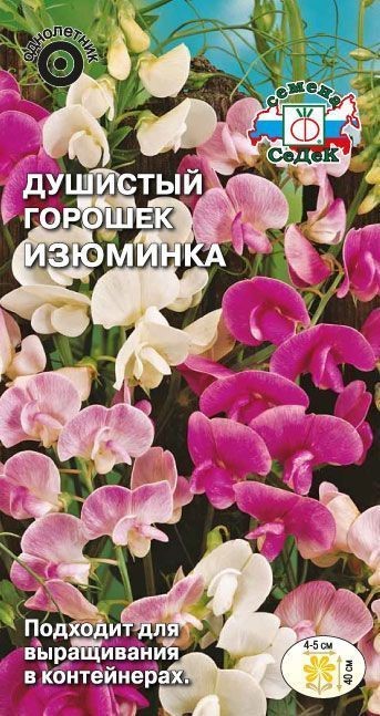 Душистый горошек Изюминка карлик. 1г Седек