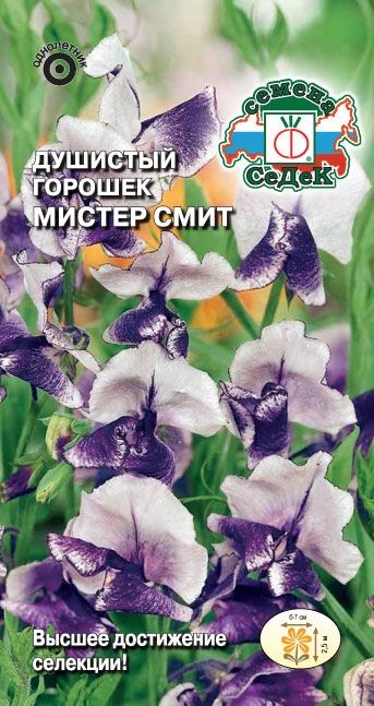 Душистый Горошек Мистер Смит (Мачмейкер, фиолетово-лилово-белый) Седек