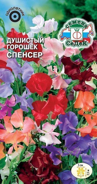 Душистый Горошек Спенсер (смесь цветов) Седек