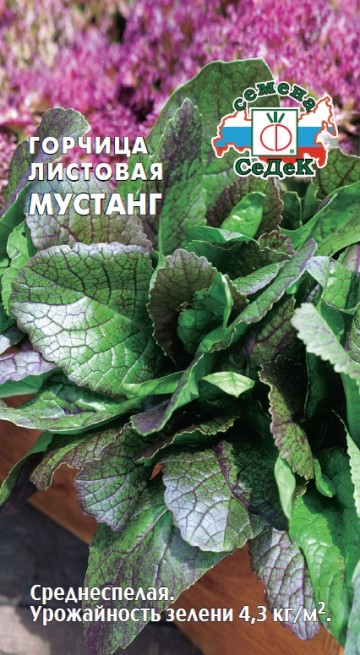 Горчица Мустанг сарепская листовая 1г Седек