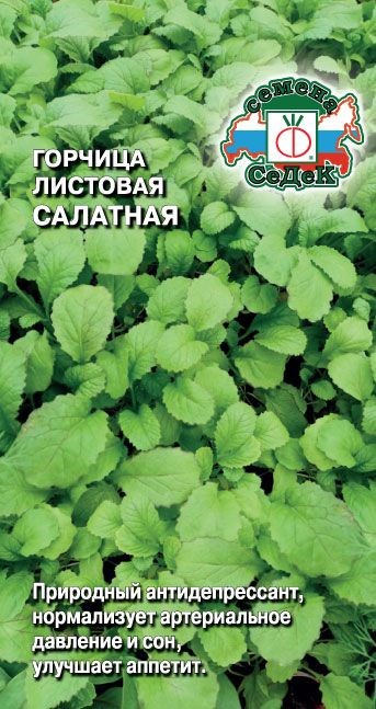 Горчица Салатная листовая 1г Седек