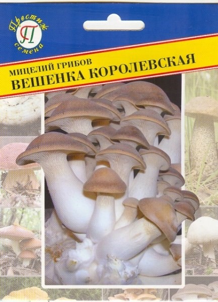 Грибы Вешенка королевская 12шт Престиж