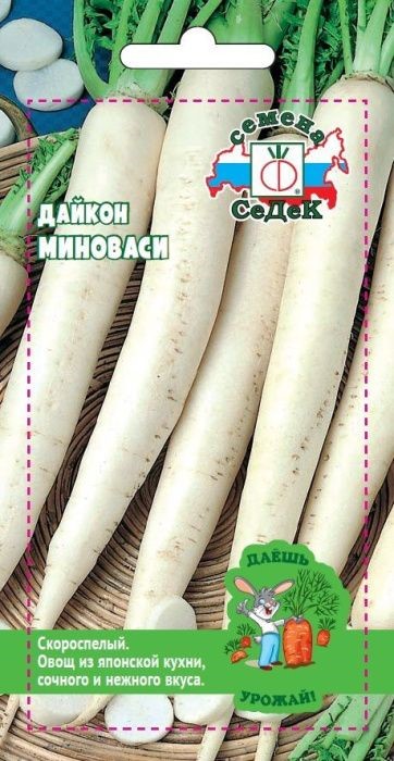 Дайкон Миноваси Седек