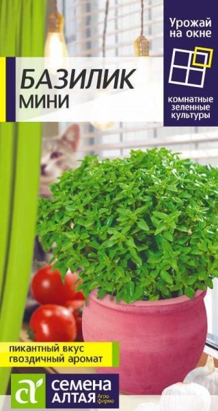 Зелень Базилик Мини/Сем Алт/цп 0,1 гр. УРОЖАЙ НА ОКНЕ!