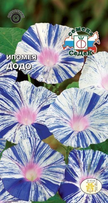 Ипомея Додо 0,2г Седек