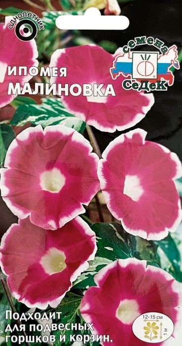Ипомея Малиновка 0,25г Седек