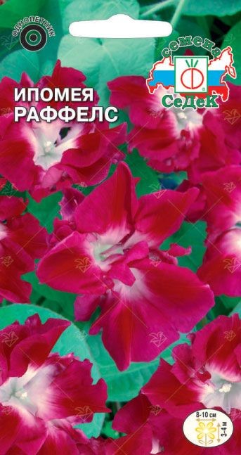 Ипомея Раффелс (Империалс) Седек
