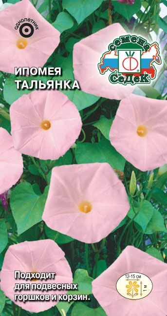Ипомея Тольянка (вид нил, розовая) Седек