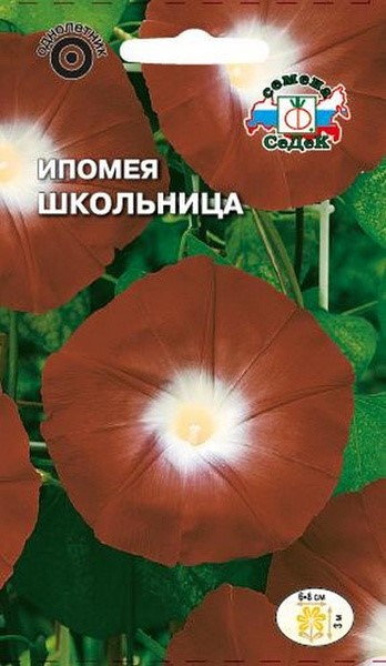 Ипомея Школьница 0,5г Седек