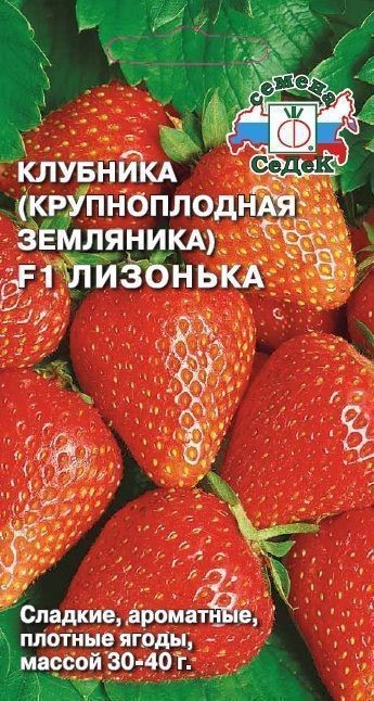 Клубника Лизонька F1 (земляника крупнопл.) 15шт Седек