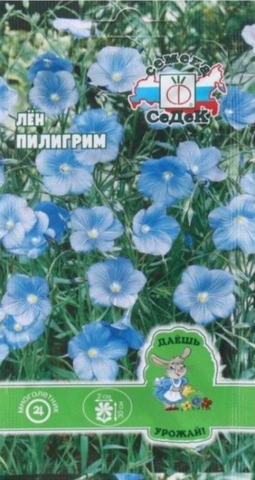 Лён Пилигрим (многолетний, нежно-голубой) Седек
