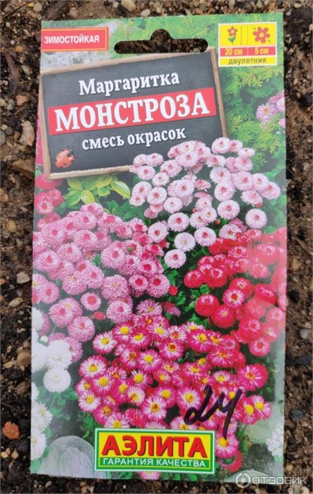Маргаритка Монстроза смесь 0,05гр Аэлита
