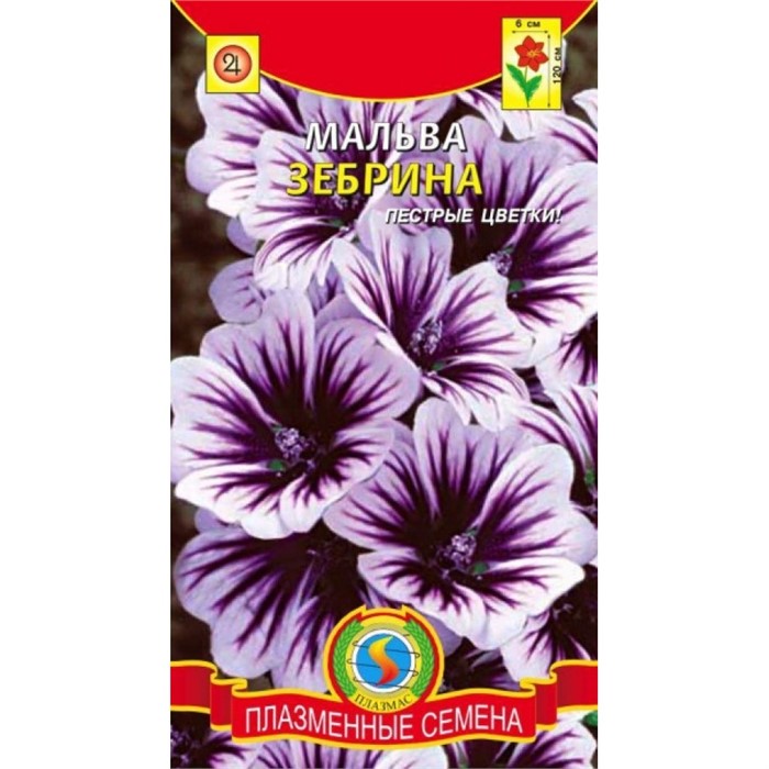 Мальва Зебрина(Плазм)многолетн,120см
