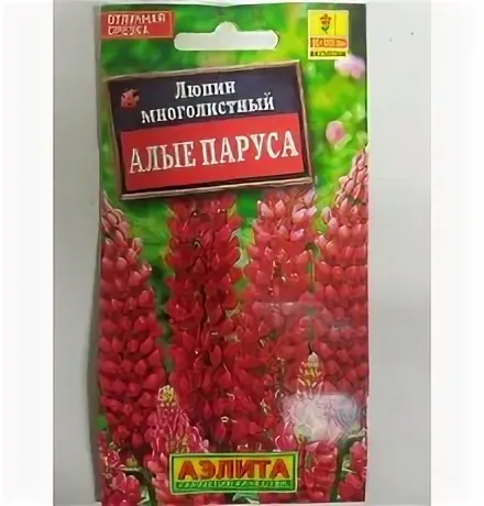 Люпин Алые паруса 15шт Аэлита