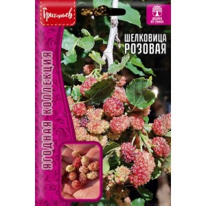 Шелковица Розовая 0,1г Гриорьев