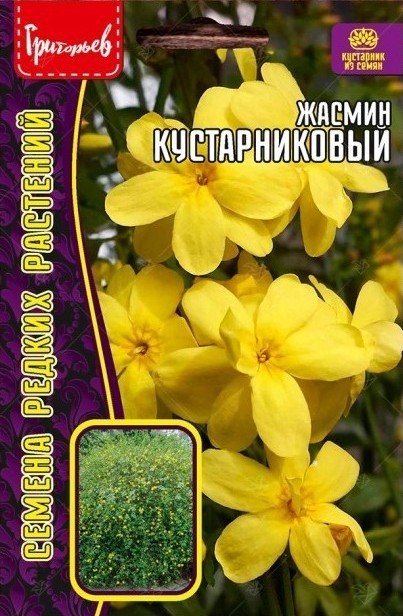 Жасмин Кустарниковый 5шт Ред.Сем
