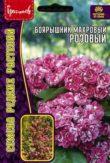 Боярышник розовый махровый 3шт Ред.Сем