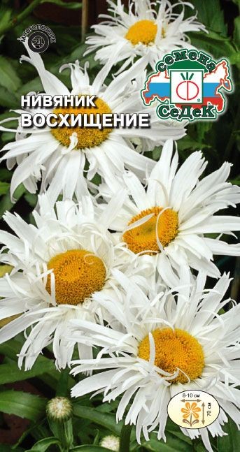 Нивяник Восхищение хризантемавидный 0,1г Седек