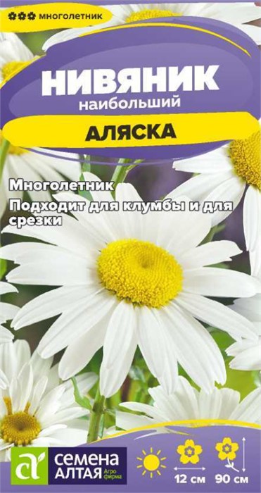 Нивяник Аляска (Семена Алтая)