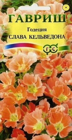 Годеция Слава Кельведона 0,1гр ГШ