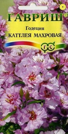 Годеция Катлея махровая 0,1гр ГШ