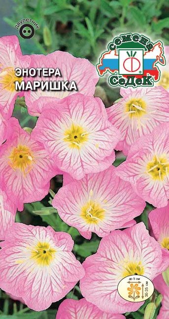 Энотера Маришка розовая 0,1 Седек