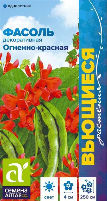 Цветы Фасоль вьющаяся Огненно-красная/Сем Алт/цп 5 гр. Вьющиеся растения