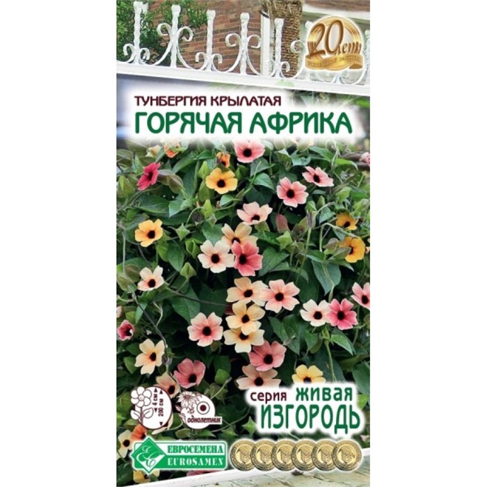Тунбергия Горячая африка крылатая(Евро Б)