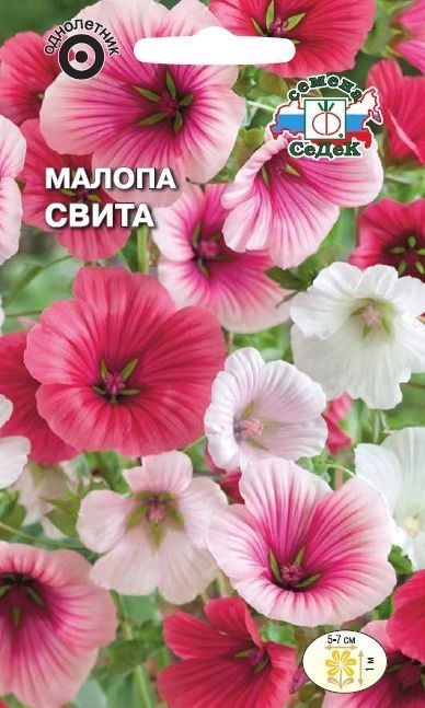 Малопа Свита (трехнадрезная, смесь цветов) Седек