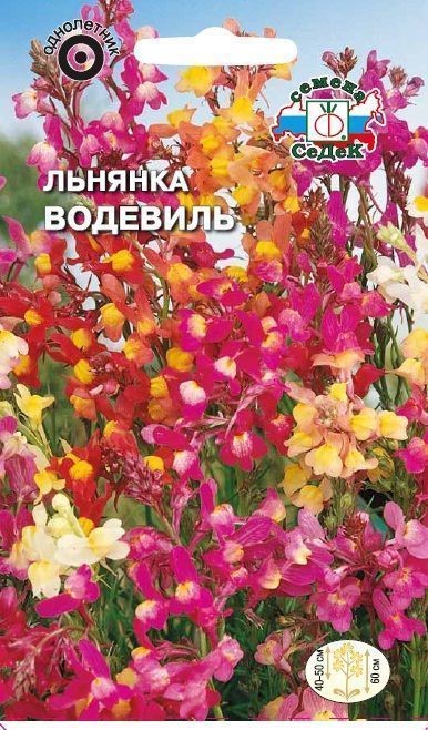 Льнянка Водевиль (марокканская, смесь цветов) Седек