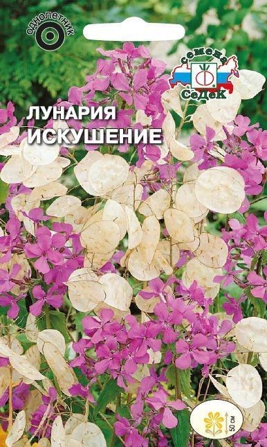 Лунария Искушение Седек
