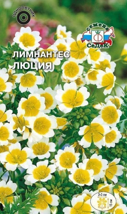 Лимнантес Люция 0,5г Седек
