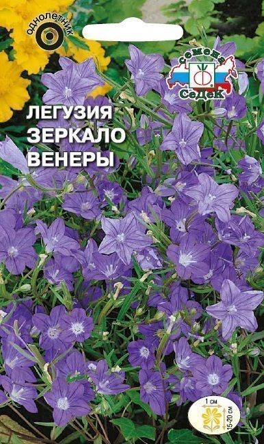 Легузия Зеркало Венеры голубая 0,2гр Седек