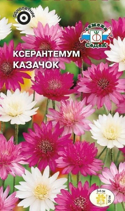 Ксерантемум Казачок (смесь цветов) Седек