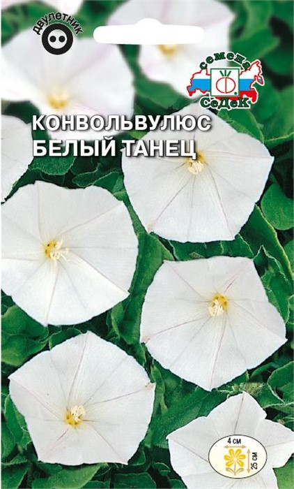 Конвольвулюс Белый Танец (белый) Седек