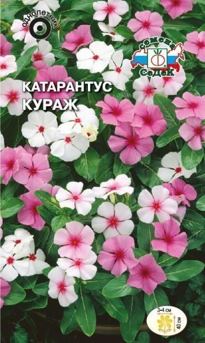 Катарантус Кураж 0,1гр Седек