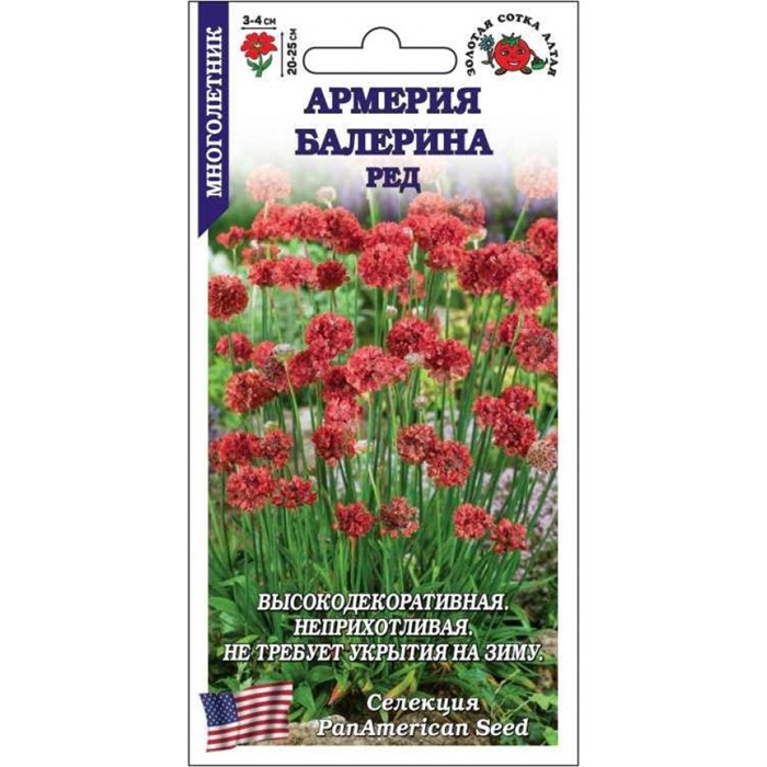 Армерия Балерина Ред (Золотая сотка)многолетн,25см