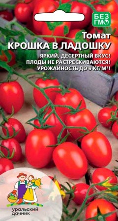 Томат Крошка в ладошку (УД) Е/П [светокультура]